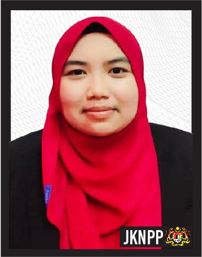 Ketua_Jurutera_Negeri