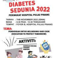 Hari Diabetes Sedunia 2022