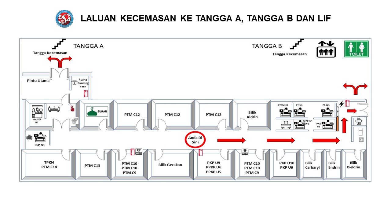 Laluan Tengah Belakang