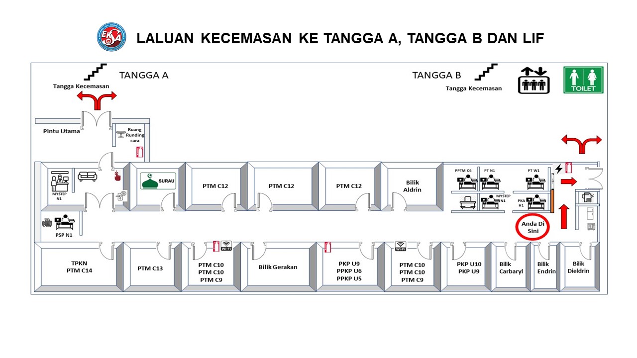 Laluan Belakang